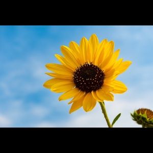 Meet your Posher, Kerri!